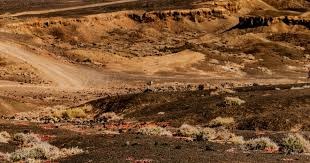 DOTA2国际赛观赛体验优化